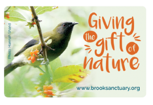 Brook Sanctuary supporter card