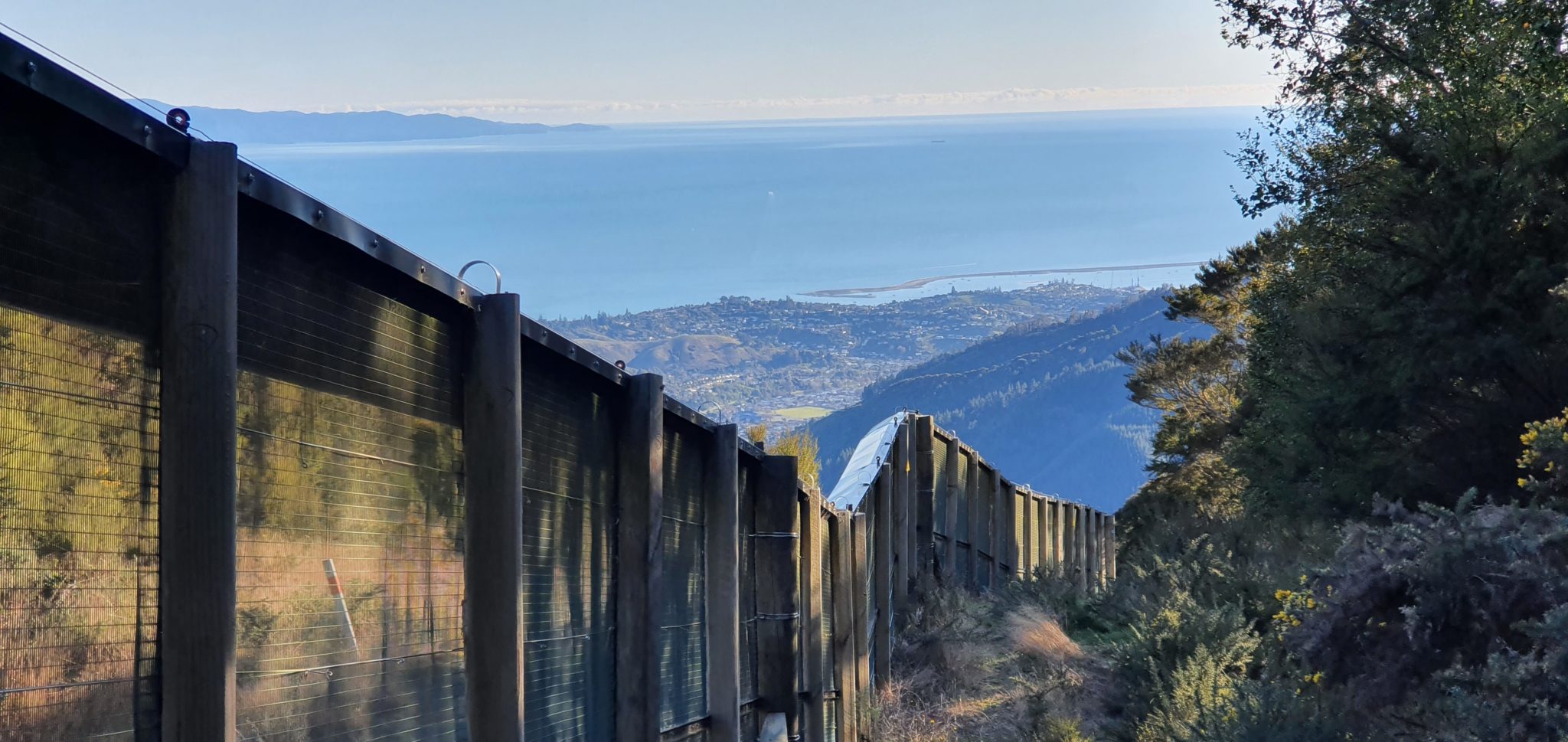 Brook Waimārama Sanctuary; fenceline; fence