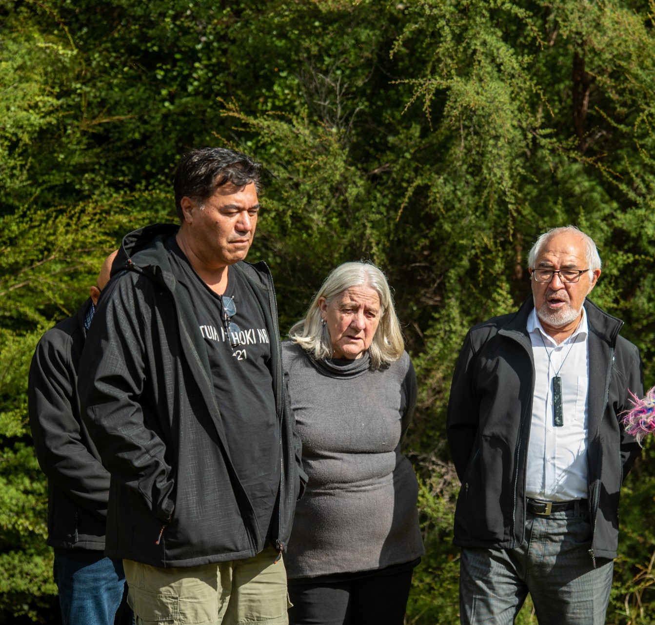 Translocation and reintroduction of tieke; tieke; saddleback; mihi; Brook Sanctuary