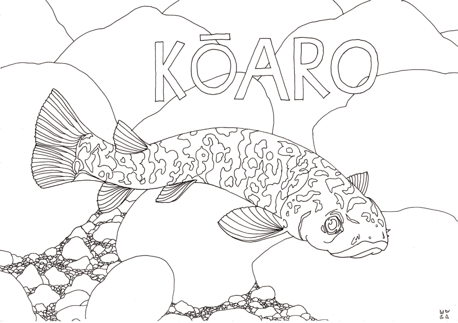 Kōaro