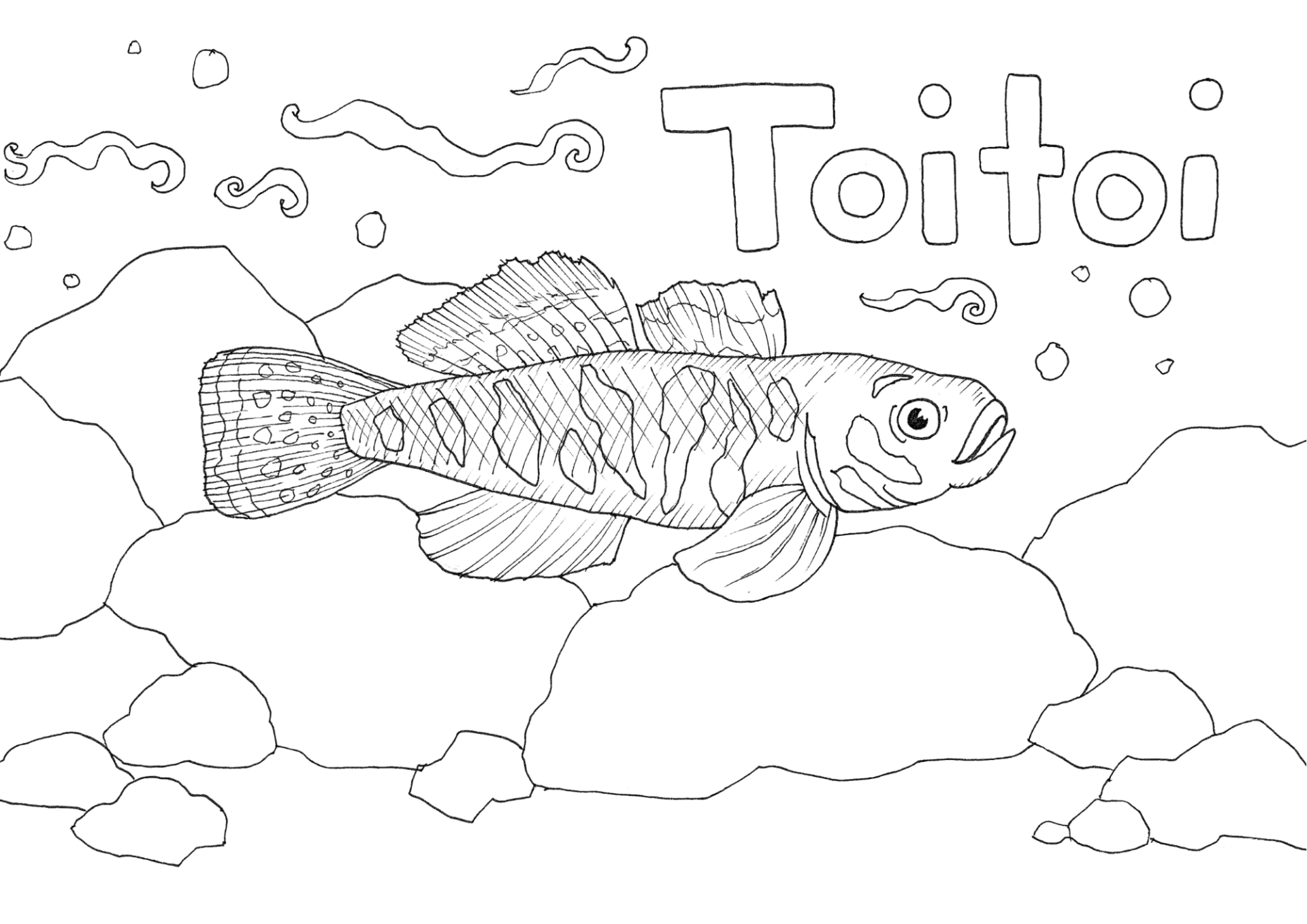 toitoi