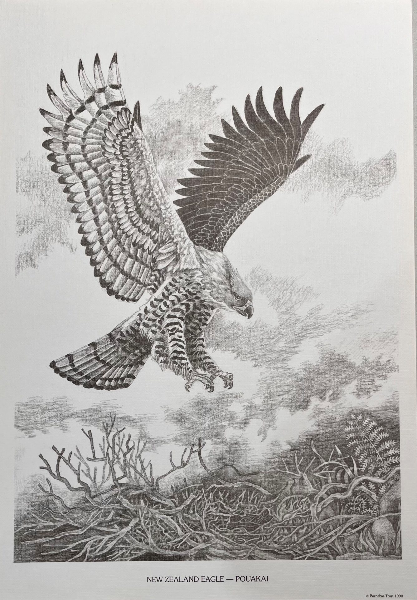 Pouakai print (black and white)