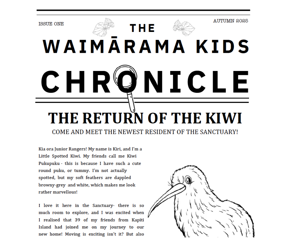 1 - Brook Waimārama Sanctuary | Returning Nature to the Nelson Region