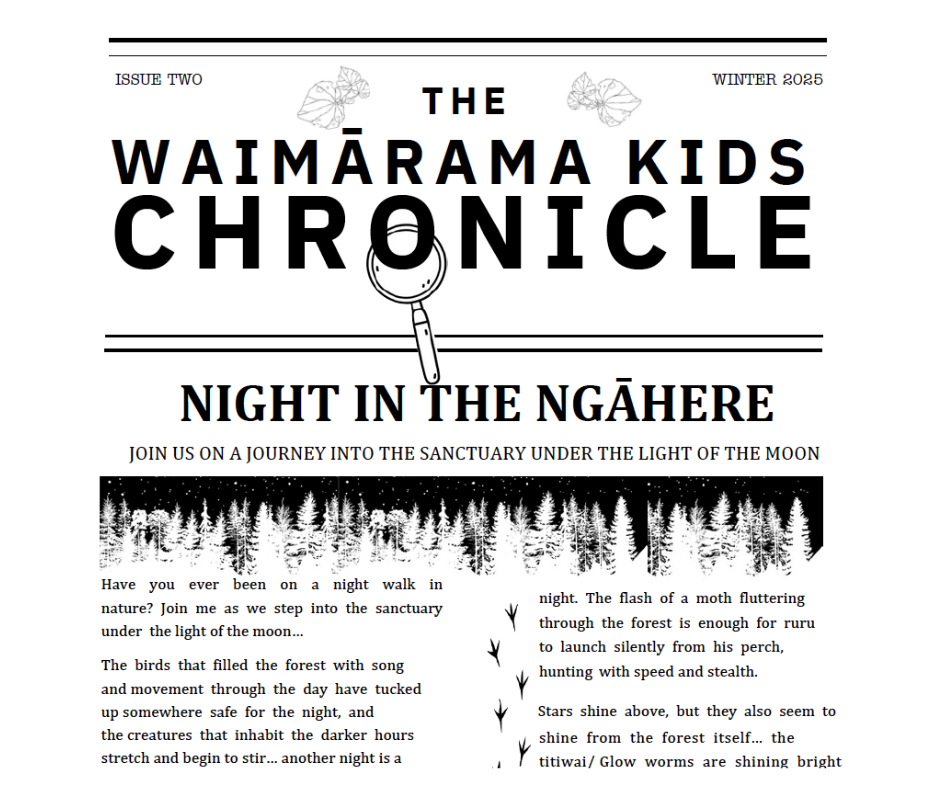 2 - Brook Waimārama Sanctuary | Returning Nature to the Nelson Region