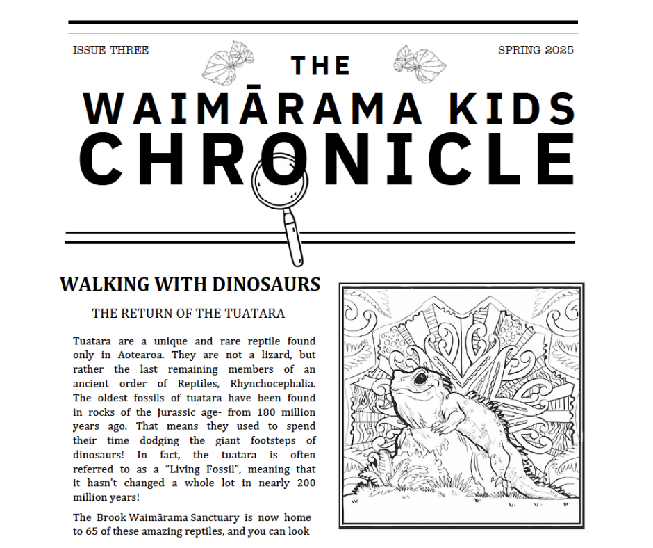 3 - Brook Waimārama Sanctuary | Returning Nature to the Nelson Region