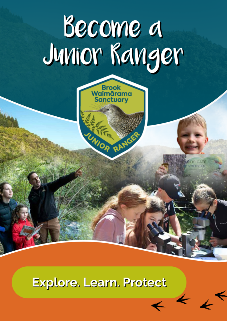 Become A Junior Ranger