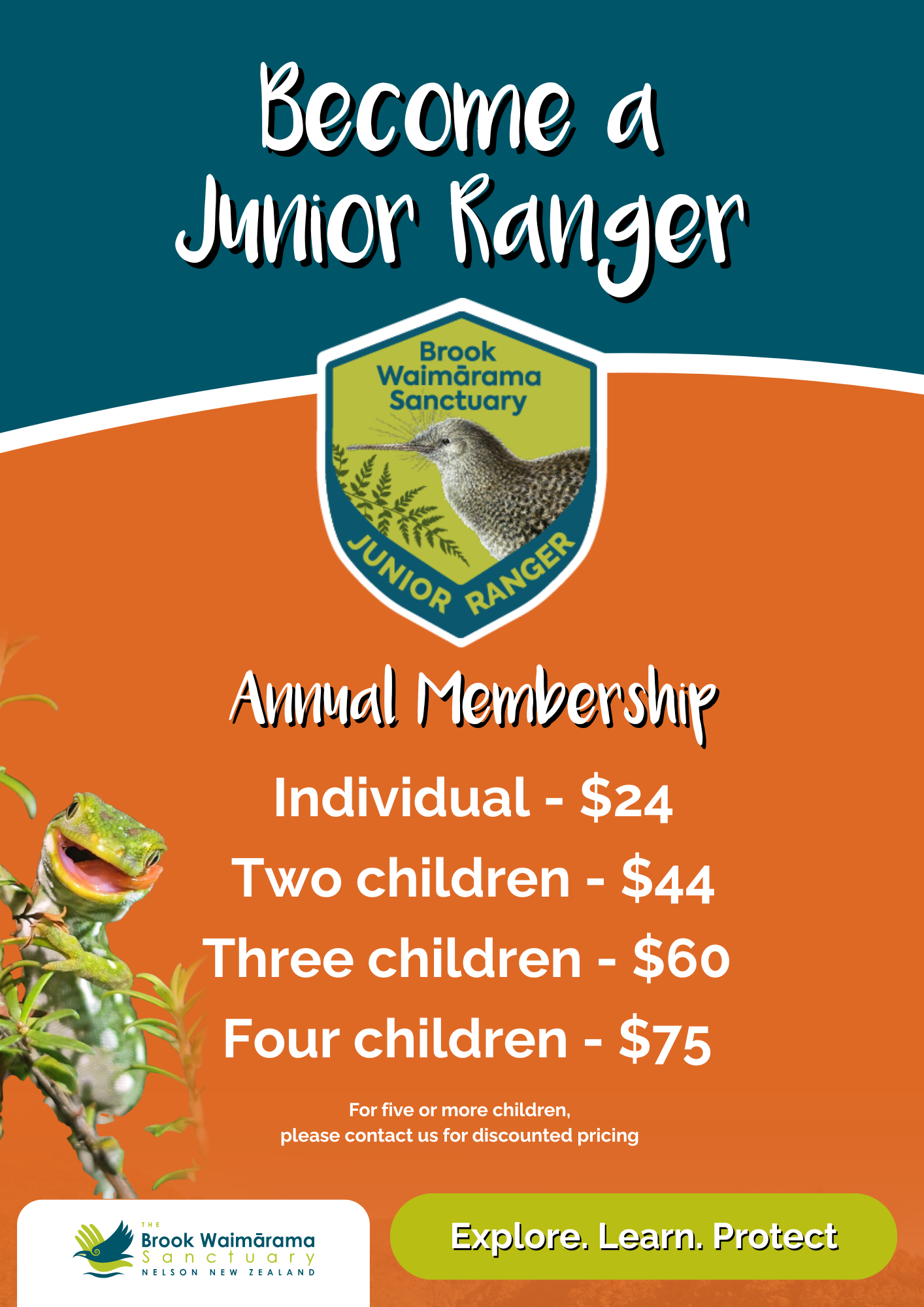 Pricing - Junior Ranger - Brook Waimārama Sanctuary | Returning Nature to the Nelson Region Junior Ranger Pricing