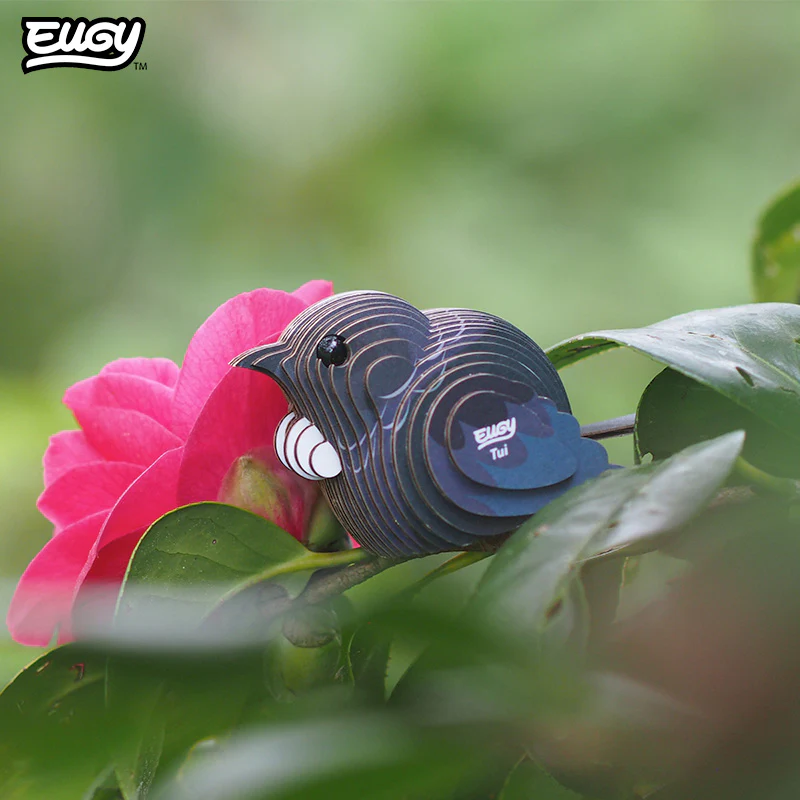 003_Tui_Live2_202503 - Brook Waimārama Sanctuary | Returning Nature to the Nelson Region