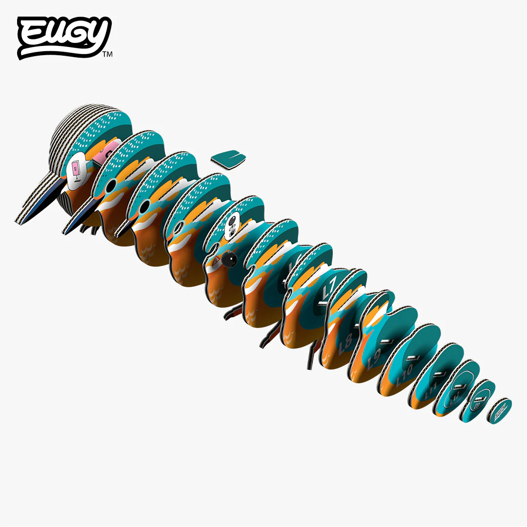 121_Kingfisher-Exploded_202508 - Brook Waimārama Sanctuary | Returning Nature to the Nelson Region