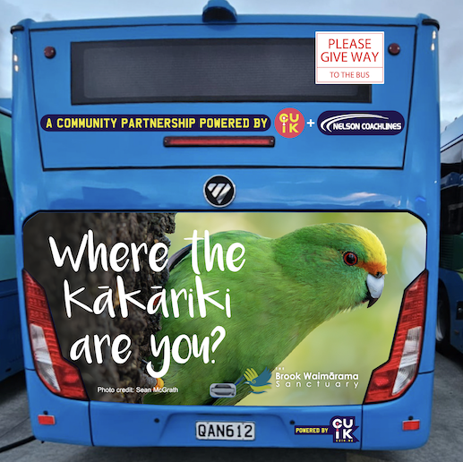 Getting to the Brook Waimārama Sanctuary