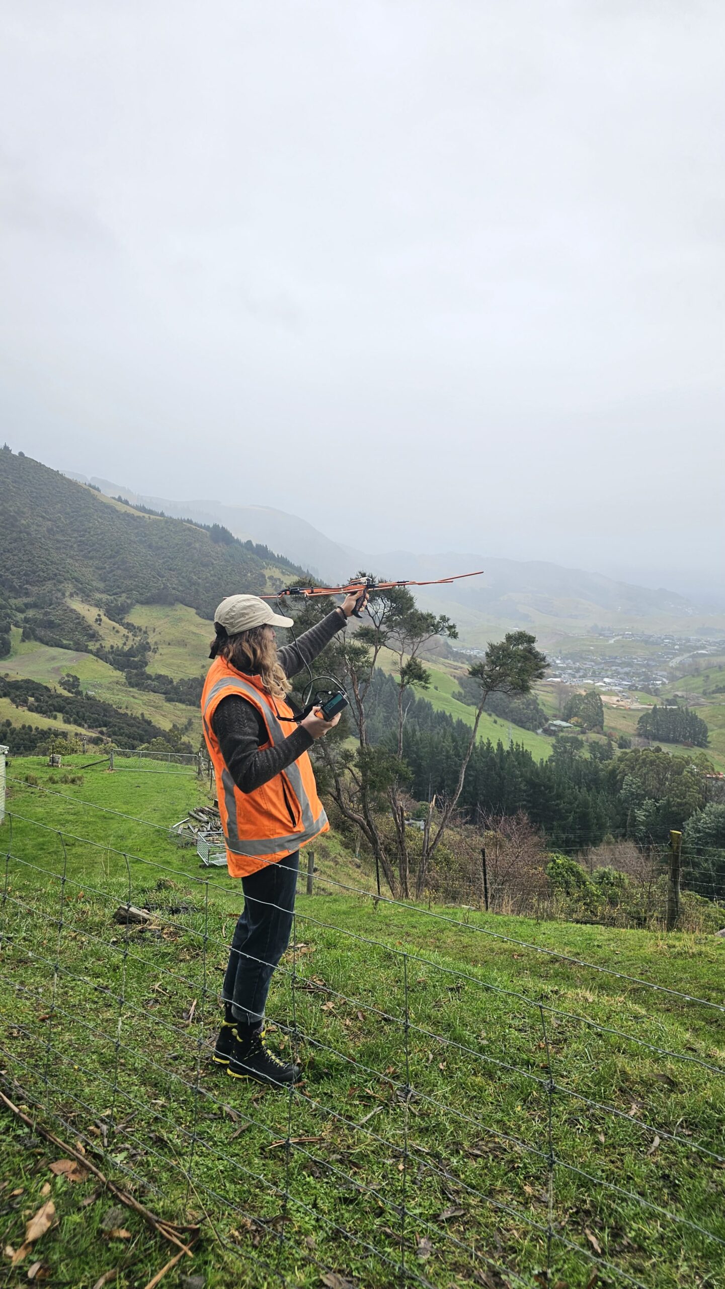 How to search for a lost kākā?