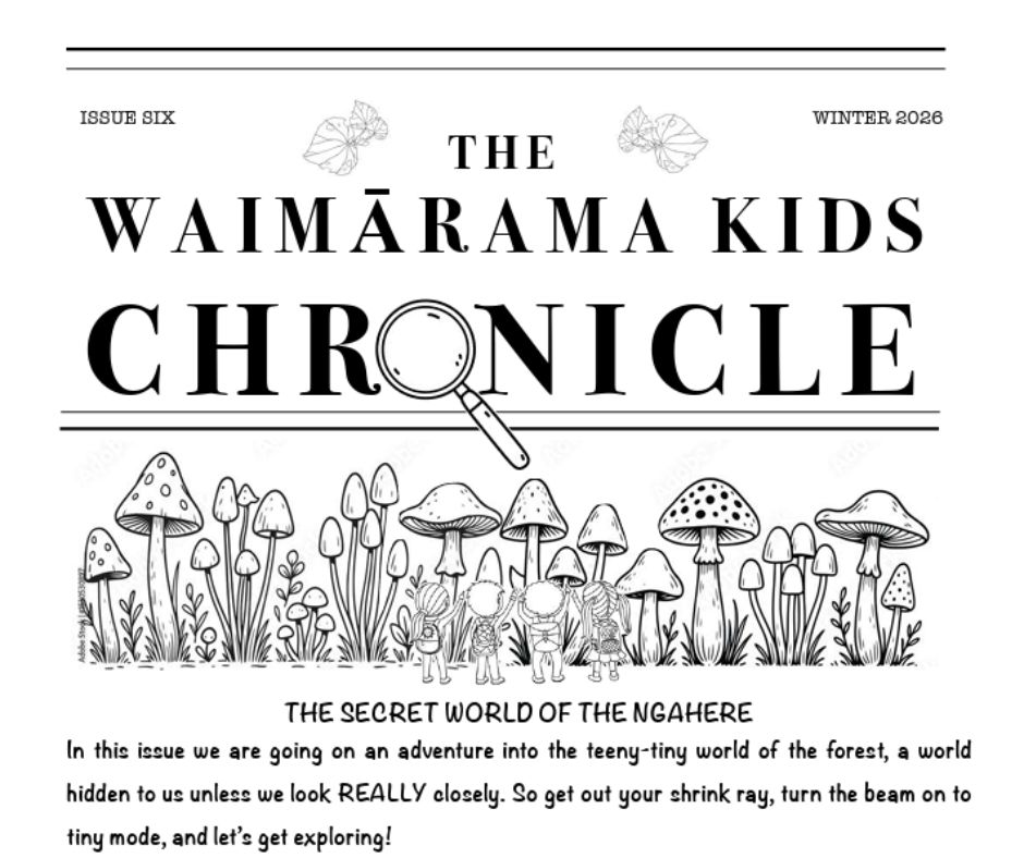 Issue 6 Winter 2026